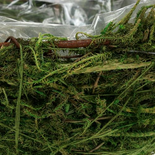 Floristik24 Moos-Schale Grün Ø11cm H6,5cm - 7,5cm 5St