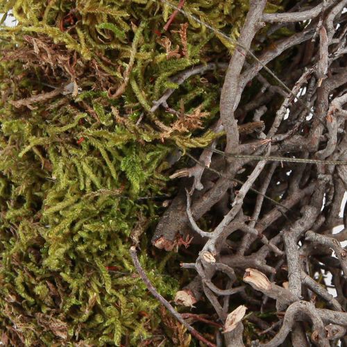 Artikel Mooskranz Deko Kranz Moos Grün mit Mauskraut Natur Ø30cm