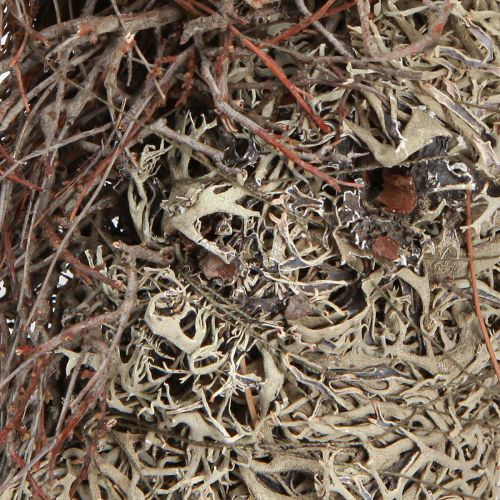 Artikel Natur Mooskranz Grau Ø30cm - Dekorativer Kranz für Tisch- &amp; Türschmuck, Herbst- &amp; Weihnachtsdeko