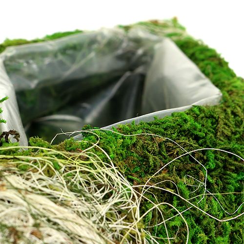 Floristik24 Mooskissen Pflanzraute 34cm x 19cm 2St