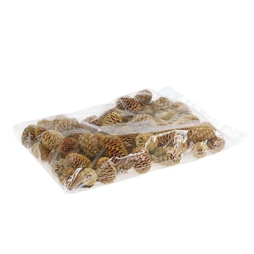 Artikel Sabulosum Zapfen creme 500g