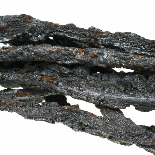 Korkeichen Zweige Muruku Zweige Schwarz 100cm 10 St