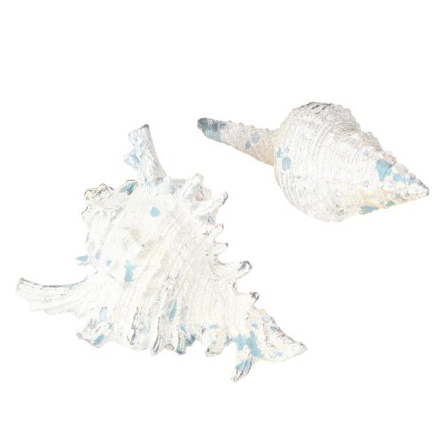 Artikel Muschel Deko Seeschnecke künstlich Blauweiß 11,5/13cm 2 St