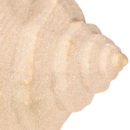 Artikel Muschel Deko maritim Keramik Blau Beige 16,5×11×9,5cm 2 St