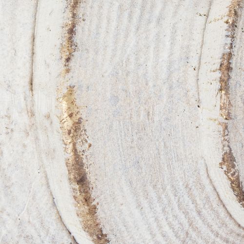 Artikel Dekorative Muschelform für stilvolle maritime Dekoration 44cm