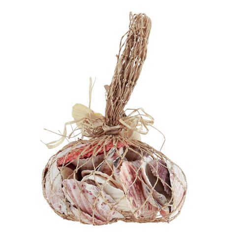 Artikel Muschel Deko Echte Muscheln Verschiedene Arten 300g