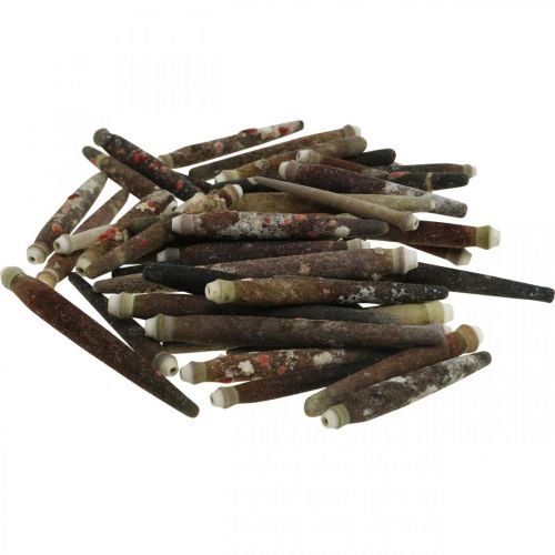 Artikel Dekomuscheln Urchin Spines, Seeigel-Stacheln, Maritime Deko L3–8cm 450g