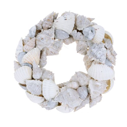 Floristik24 Muschelkranz Weiß Ø14cm