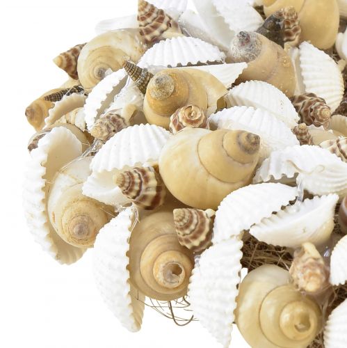 Floristik24 Muschelkranz Maritime Hängedeko Kokos Natur Weiß Ø25cm