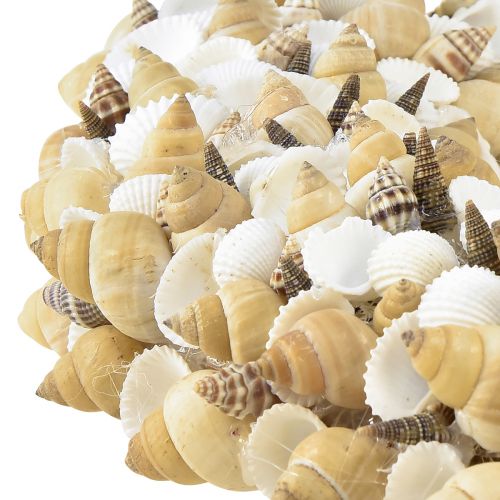 Floristik24 Muschelkranz Muscheln Seeschnecken Natur Weiß Ø35cm