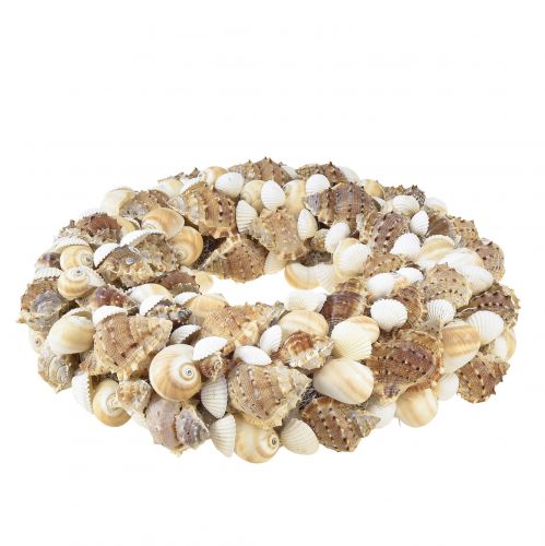 Floristik24 Muschelkranz Schneckenkranz zum Hängen Kokos Natur Ø25cm