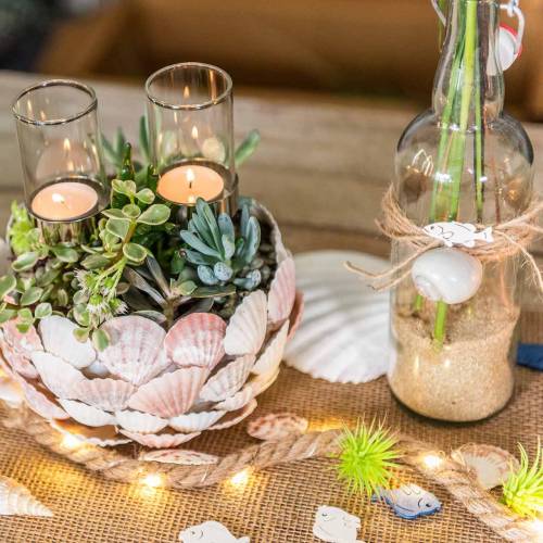 Floristik24 Muschelmix Natur 500g