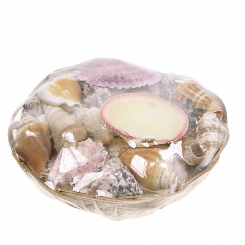 Floristik24 Muschelmix im Korb Natur Ø15cm 420g