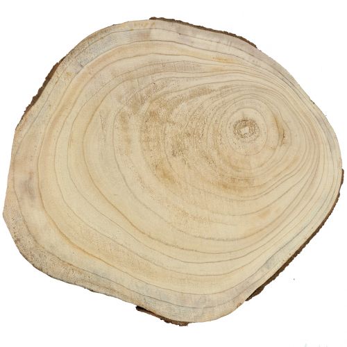 Floristik24 Baumscheibe Blauglockenbaum Natur Ø35–45cm