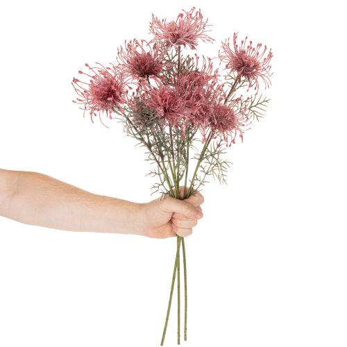 Kunstblume Nadelkissen Protea Rosa-Grün 65 cm 3er-Set | Floristik24.ch