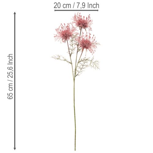 Kunstblume Nadelkissen Protea Rosa-Grün 65 cm 3er-Set | Floristik24.ch