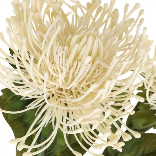 Artikel Nadelkissen Kunstblumen Exoten Protea Leucospermum Creme 73cm 3St