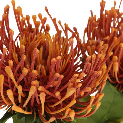 Artikel Nadelkissen Exotische Kunstblume Orange Leucospermum Protea 73cm 3St