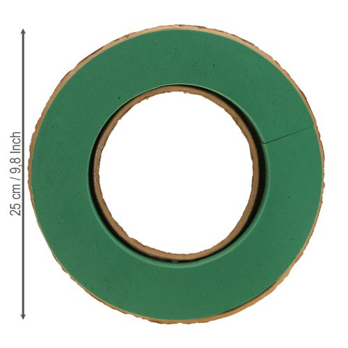 Floristik24 Nass Steckschaum Kranz Unterlage aus Karton Ø25cm 2 St