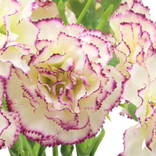 Floristik24 Nelke Weiß-Lila 64cm 4 St