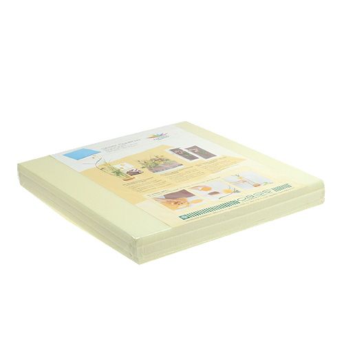 Floristik24 OASIS® Designer Platten Ivory Elfenbein 3 St