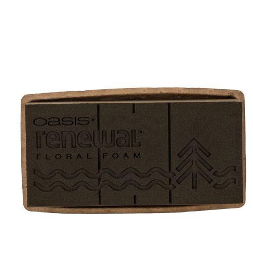 OASIS® Renewal® Floral Foam Biolit® Steckschaumziegel 1/1, braun, 24 × 13 × 8 cm, 2 Stück