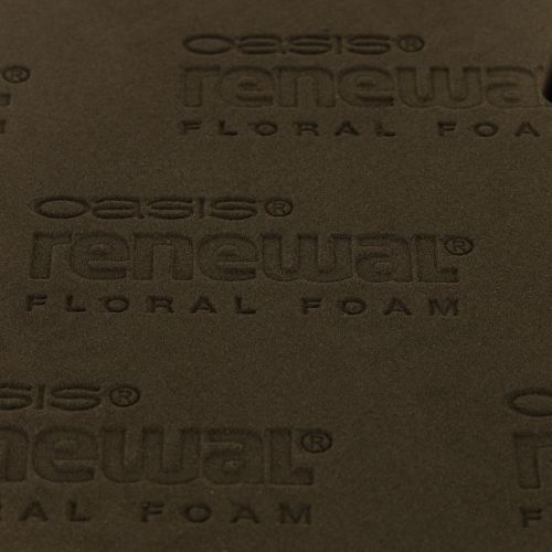 OASIS® Renewal® Biolit®