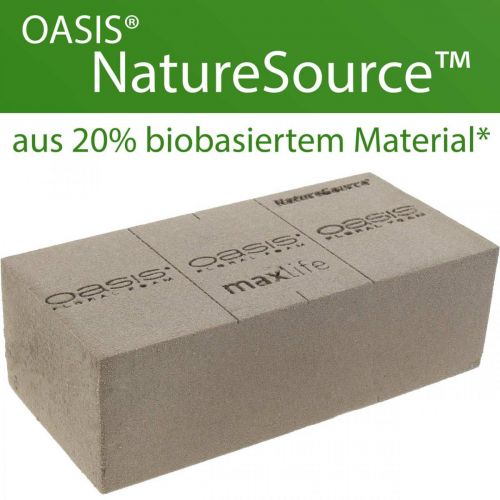 OASIS® NatureSource Ziegel Steckschaum 23cm×11cm×7cm 10St