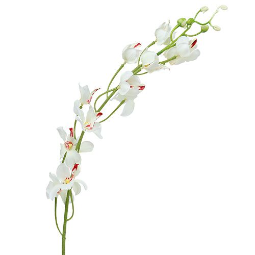 Orchidee Mokara Weiß 92cm 3 St