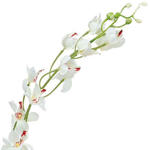 Artikel Orchidee Mokara Weiß 92cm 3 St