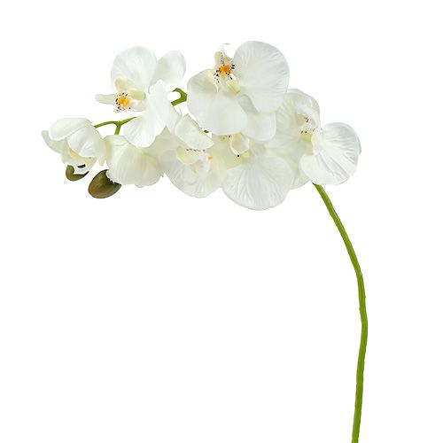 Floristik24 Orchidee Weiß künstlich L73cm 4St