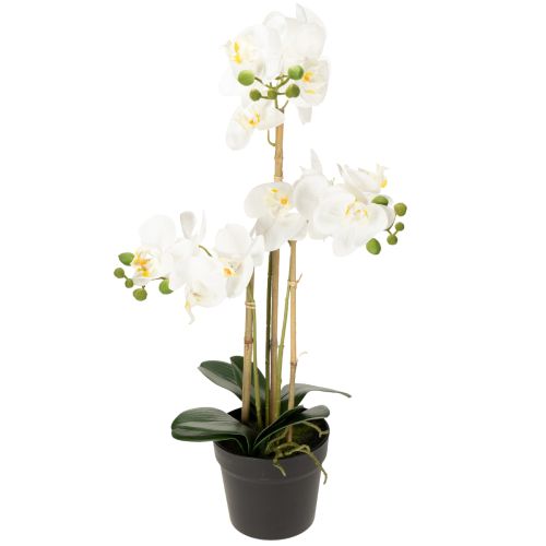 Künstliche Orchidee im Topf für ein harmonisches Ambiente weiß 60cm