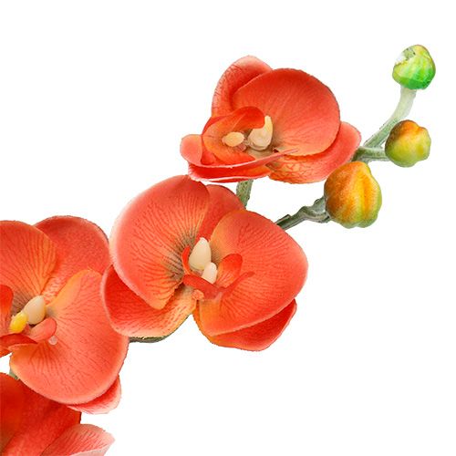 Floristik24 Orchidee zwei Äste 60cm Orange