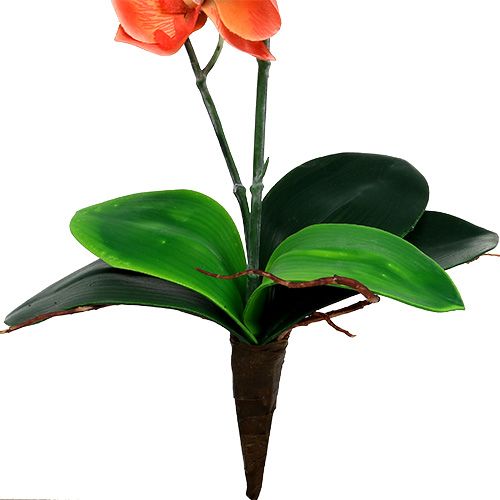 Floristik24 Orchidee zwei Äste 60cm Orange