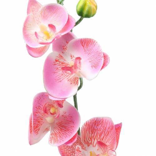 Floristik24 Orchidee Phalaenopsis künstlich Rosa 60cm
