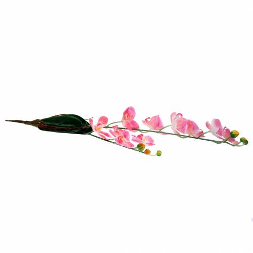 Floristik24 Orchidee Phalaenopsis künstlich Rosa 60cm