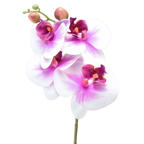 Floristik24 Orchidee Künstliche Phalaenopsis 4 Blüten Weiß Pink 72cm