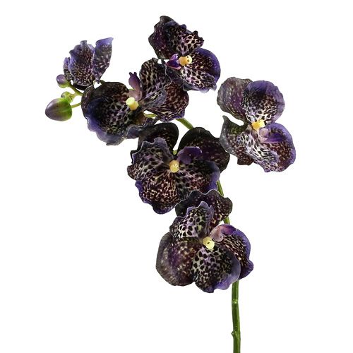 Orchidee Vanda künstlich Violett L 44cm