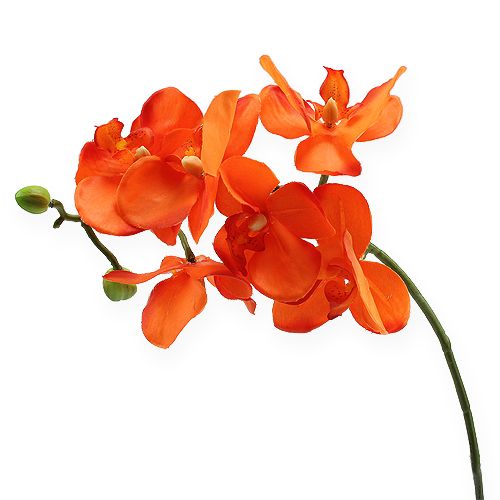 Orchideenzweig Orange 61cm