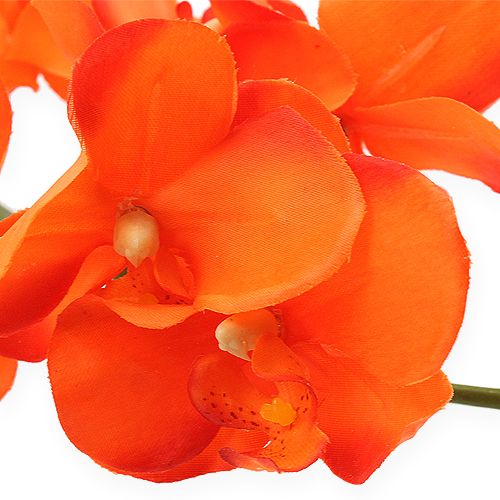 Floristik24 Orchideenzweig Orange 61cm