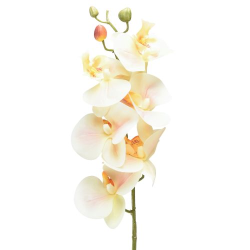 Floristik24 Künstliche Orchidee Creme Orange Phalaenopsis 78cm