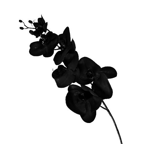 Orchidee schwarz L80cm