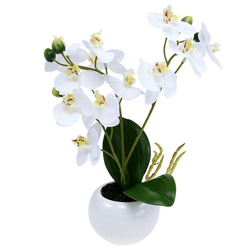6 Farbe Künstliche Orchidee Im Topf Blumen Orchideen Phalaenopsis Pflanze Deko