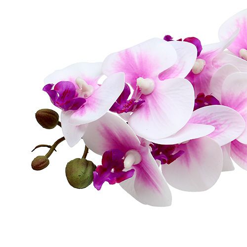 Floristik24 Orchideenzweig Weiß-Rosa L58cm