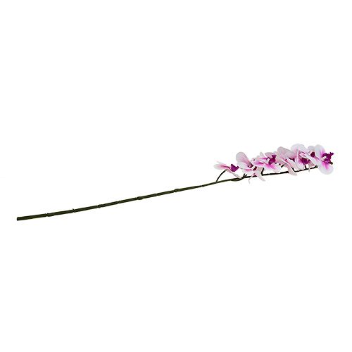 Floristik24 Orchideenzweig Weiß-Rosa L58cm