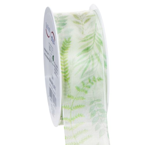 Floristik24 Organzaband Chiffonband Grün Blattranken 40mm 15m