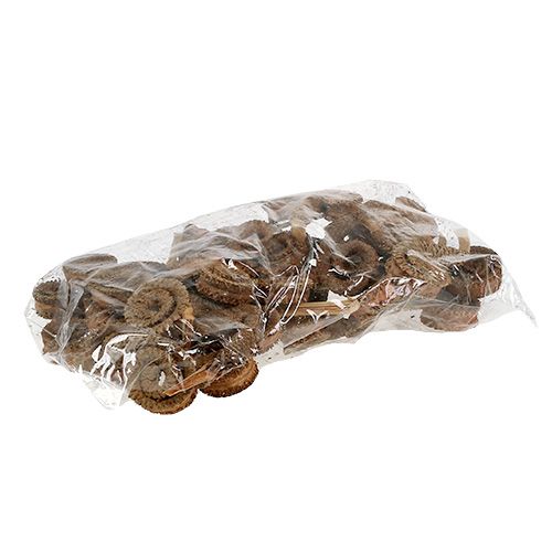 Artikel Palm Male Natur 25 St