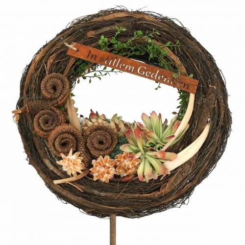 Floristik24 Palm Male Natur 25 St