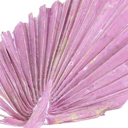 Artikel Palmspear Mix Rosa Berry, Weiß gewaschen Gedenkfloristik 65St