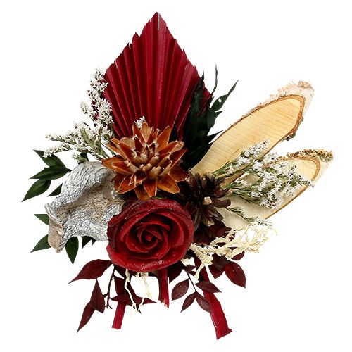 Floristik24 Palmspear mini Rot 100 St